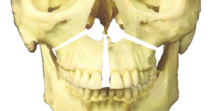 cirurgia-ortognatica-1.jpg